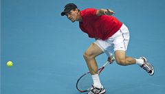 Berdych o Turnaj mistr: utk se s Tipsareviem