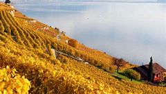 Vinice v Lavaux, šplhající po terasách kolem Ženevského jezera, patří ke světovému dědictví UNESCO.  | na serveru Lidovky.cz | aktuální zprávy