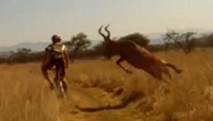Cyklista vs. antilopa: kdo s koho