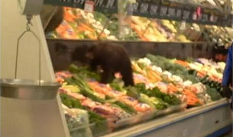 Medvdí mlád v aljaském obchod
