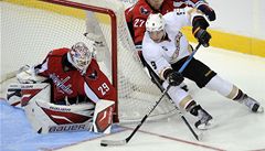 eský branká Tomá Vokoun z Washingtonu Capitals chytá v NHL jednu z ancí týmu Anaheim Ducks 