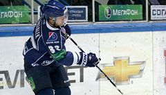 Nejproduktivnj ech v KHL Petrulek odchz do Dynama Moskva
