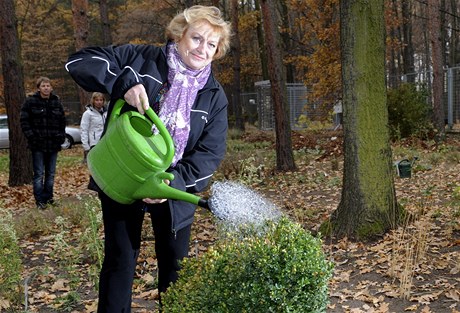 Zlatá olympijská medailistka Vra áslavská vysadila 10. listopadu v Botanické zahrad v Praze strom se svým jménem a zapojila se tak do projektu Koeny osobností. 