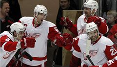 Detroit Red Wings