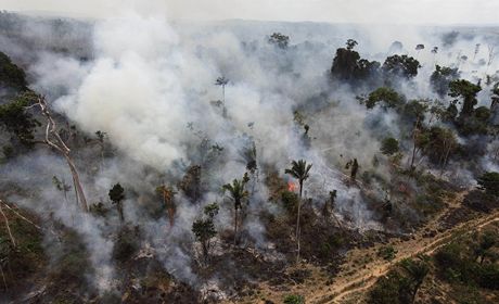 Lidé, kteí baí po pozemcích, nelegáln zapálili ást amazonského pralesa 