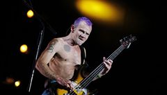 Baskytarista Red Hot Chili Peppers Michael Balzary na letošním koncertu v peruánské Limě