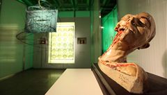 Expozice v Moravské galerii v Brn� nabízí originály kreseb Leonarda da Vinci �i díla Albrechta Dürera, Rembrandta van Rijn, Oskara Kokoschky a dal�ích.