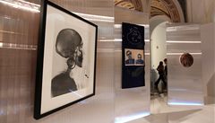 Expozice v Moravské galerii v Brn� nabízí originály kreseb Leonarda da Vinci �i díla Albrechta Dürera, Rembrandta van Rijn, Oskara Kokoschky a dal�ích.