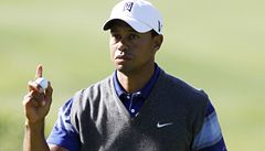 Tiger Woods.