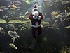 Santa Claus v akváriové show v thajském Bangkoku.