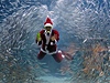 Podvodní Santa krmí sardinky v obím akváriu v jihokorejském Soulu.