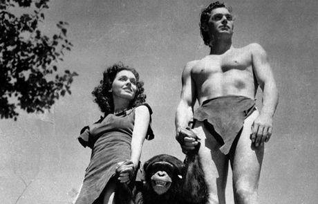 impanz Cheetah, který ve 30. letech minulého století ztvárnil ve filmech o Tarzanovi opiího pítele titulníhohrdiny, zemel v útulku pro zvíata na Florid.