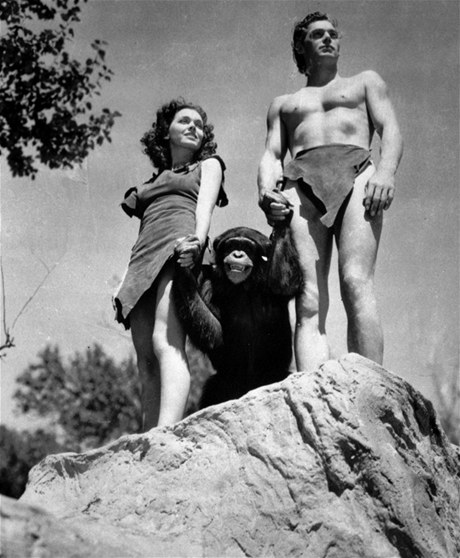 impanz Cheetah, který ve 30. letech ztvárnil ve filmech o Tarzanovi opiího pítele titulního hrdiny.