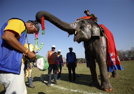Nepál nejsou jen hory. Ale teba i exkurze v národním parku itván. Tam je moné vyrazit na safari na hbet slona i v dípu.