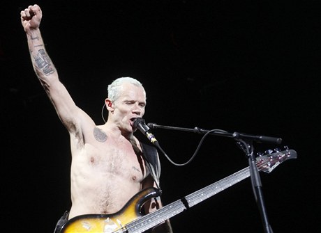 Baskytarista Red Hot Chili Peppers Michael "Flea" Balzary. Kapela bude hrát v srpnu v praském Edenu.