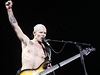 Baskytarista Red Hot Chili Peppers Michael "Flea" Balzary. Kapela bude hrát v srpnu v praském Edenu.