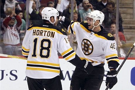eský hokejista David Krejí z Bostonu Bruins (vpravo) slaví se spoluhráem Nathanem Hortonem gól v zápase NHL