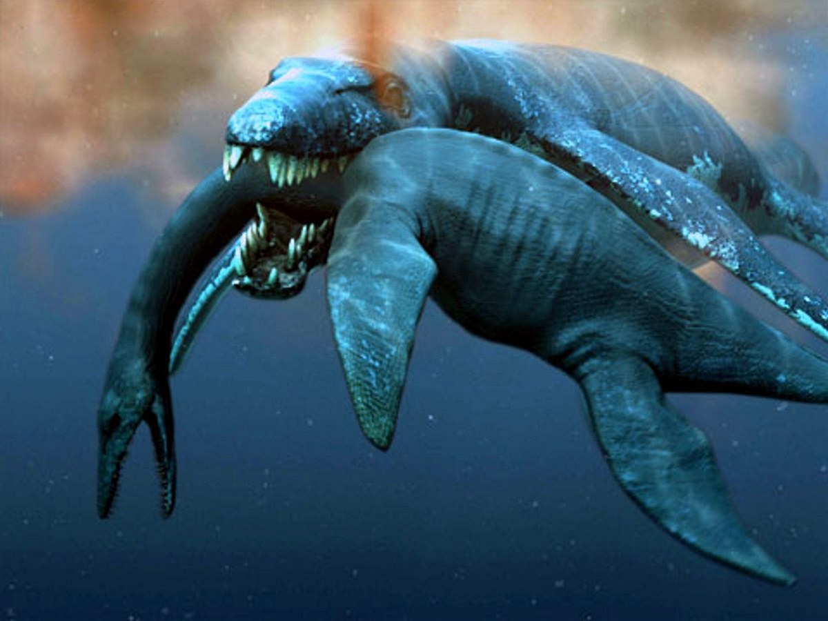 Mo��tí dinosau�i.