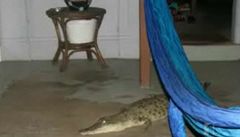 Australská rodina našla v obýváku krokodýla