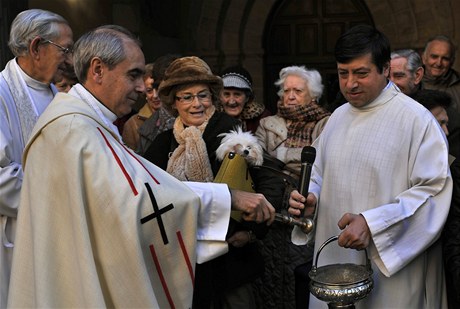 Domácí mazlíčkové dostali požehnání v kostele sv. Antonína v Madridu.