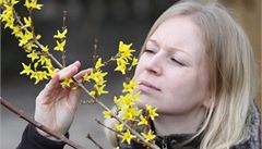 Na ji�ní Morav� po�así odpovídá spí�e za�átku jara ne� lednu. 