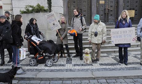 Pejskai protestovali proti solení chodník