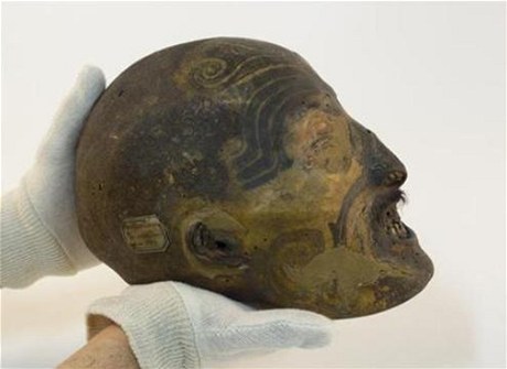 Mumifikovaná hlava maorského bojovníka.
