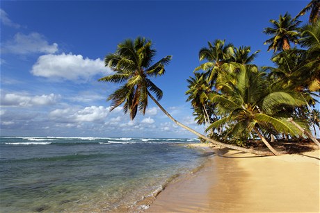 Pláž v Dominikánské republice