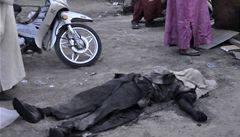 Radikln islmsk sekta v Nigrii postlela pes 80 civilist