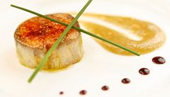 Příliš máslové foie gras aneb Trapasy podle profesionálů