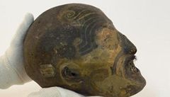 Mumifikovaná hlava maorského bojovníka.