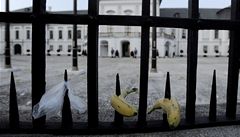 Spis Gorila naštval Slováky, létaly banány