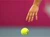 Sabine Lisická byla na Fed Cupový zápas s eskou republikou vyzdobena stylov nalakovanými nehty
