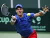 eský tenista Tomá Berdych v Davis Cupu