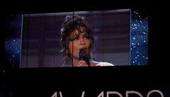 "Pomodleme se za �enu, kterou jsme milovali, za na�i padlou sestru Whitney Houston," �ekl moderátor ve�era, rapper LL Cool J. Zesnulou hv�zdu pak p�ipomenul videozáznam, na n�m� zpívala svou z�ejm� nejznám�j�í píse� I Will Always Love You.