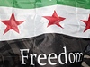 Protesty proti reimu Baára Asada