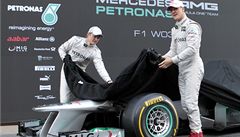 Mercedes (Rosberg a Schumacher).