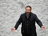 Aj Wej-wej a jeho slunenicová semínka z porcelánu