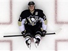 Nejvtí hvzda hokejist Pittsburghu Rus Jenvgenij Malkin