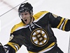Boston Bruins: David Krejí