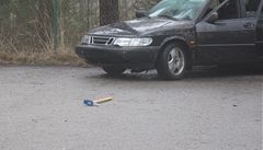 etí policisté pronásledovali lupie do Rakousku. Po pestelce zstali ti ranní.