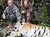 Putin s uspaným tygrem ussurijským.
