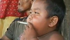 Osmilet Indonsan kou dv krabiky denn