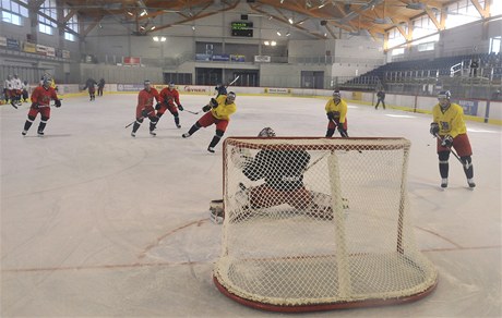 V Kravařích na Opavsku sešla česká hokejová reprezentace v rámci přípravy na květnové mistrovství světa ve Švédsku a Finsku 