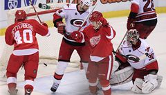 eský hokejista Detroitu Red Wings Jií Hudler (vpravo v erveném) slaví se spoluhráem Henrikem Zetterbergem gól Carolina Hurricanes