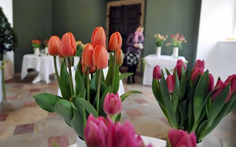 Na zámku v Buchlovicích je rozsáhlá výstava ezaných tulipán a jejich aranmá.