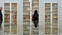 Dílo nazvané Trojice - Farmakologie, Fyziologie, Patologie