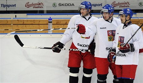 eský hokejista Montrealu Canadiens Tomá Plekanec