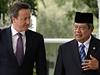 David Cameron jedná s indonéským prezidentem. 