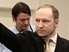 Tiaticetiletý Breivik k soudu piel v erném obleku a po sejmutí pout zdvihl pravou ruku zaatou v pst v pozdravu pravicových extremist